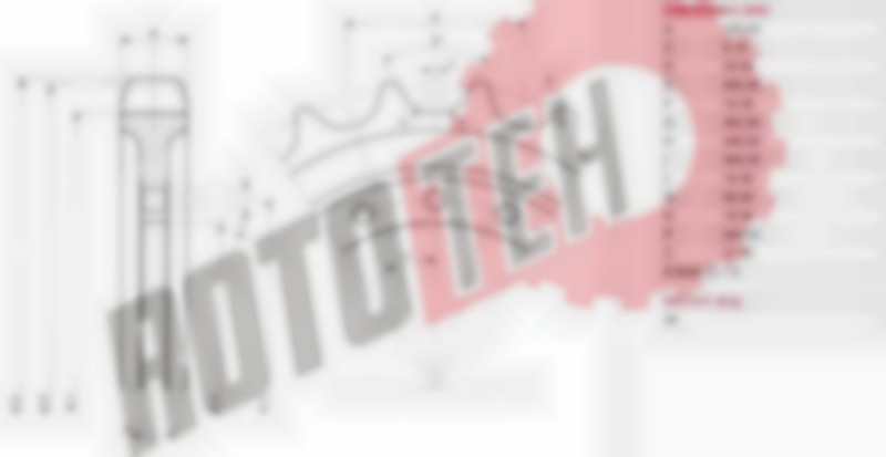 Dzenošā zvaigzne (21 zobs, 22+8 urbumi)